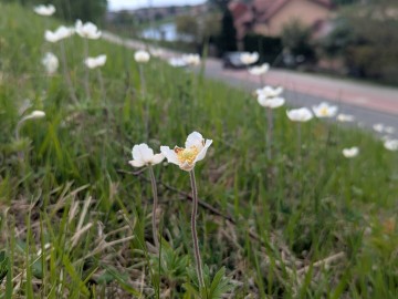 pxl_20250506_090500541, 