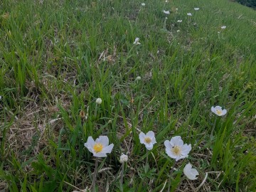 pxl_20250506_090653919, 