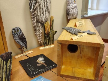 Noc Sów w Łowiczu - relacja, 