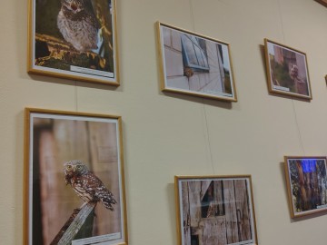 Noc Sów w Łowiczu - relacja, 