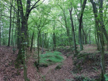 Wiosenne Sprzątanie Rawki 2025 - relacja, 