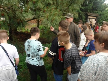 Szkolenie z rozpoznawania liści w Przedborskim Parku Krajobrazowym, 