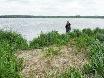 Rybitwy nad Zalewem Sulejowskim, 