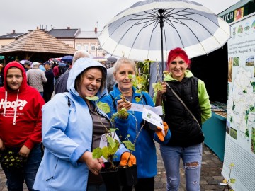 Święto Plonów w Przedborzu – Relacja z Dożynek Gminno-Parafialnych 2025, 