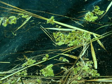 Relacja z rajdu rowerowego „Śladem Królewskich Łowów” 2025, 