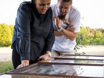 Nocne świecenia - poznaj świat motyli nocnych PPK 2025, 