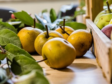 Szkolenie sadownicze w Przedborskim Parku Krajobrazowym 2025, 