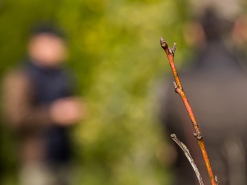 Szkolenie sadownicze w Przedborskim Parku Krajobrazowym 2025, 