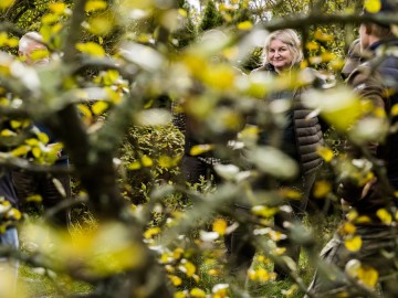 Szkolenie sadownicze w Przedborskim Parku Krajobrazowym 2025, 
