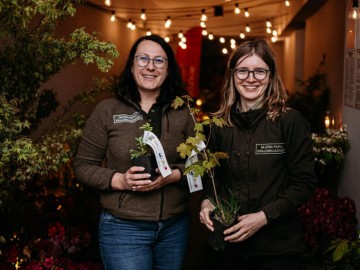 Festiwal Rododendronow i Azalii Konstantynów Łódzki 2025 źródło fot. MOK Konstantynów Łódzki, 