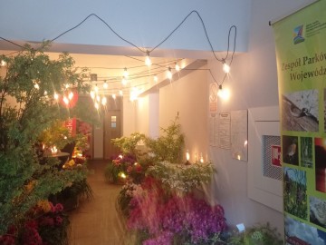 Festiwal Rododendronow i Azalii konstantynów Łódzki 2025, 