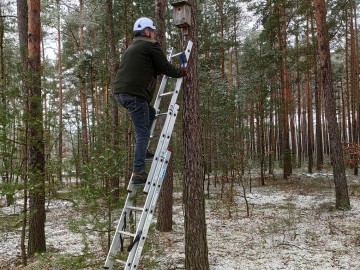 Czyszczenie budek lęgowych w naszych parkach, 