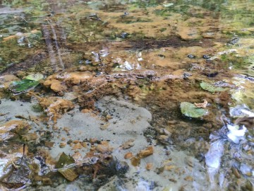 Odnowienie infrastruktury w otoczeniu źródła Niechmirów, 