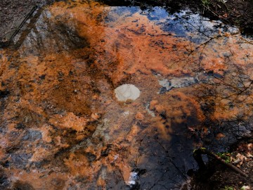 Odnowienie infrastruktury w otoczeniu źródła Niechmirów, 