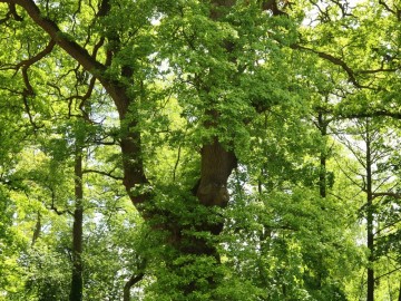 Rajd Rowerem nad Wartą – wiosna 2025, 